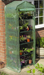 5 Tier Mini Greenhouse (With Reinforced Cover)