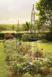 Garden Obelisks on Heavy Duty Garden Obelisks