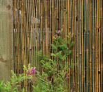 4m x 1.5m Bamboo Cane Fencing