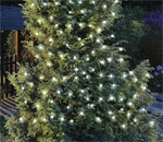 25 Solar String Lights