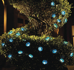 10 LED Morning Glory String Lights