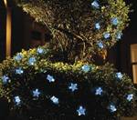 30 LED Star String Lights