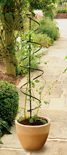 Climbing Plant Support - 140cm tall